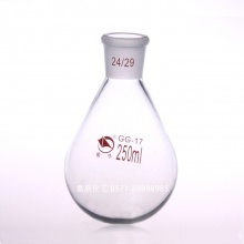 茄形烧瓶100ml/24