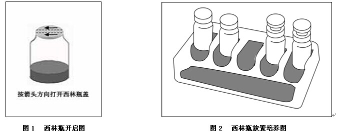 鸟氨酸脱羧酶生化鉴定