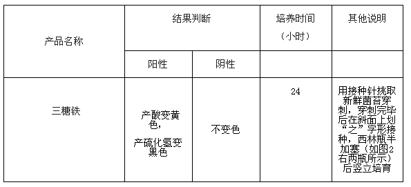 三糖铁生化鉴定管