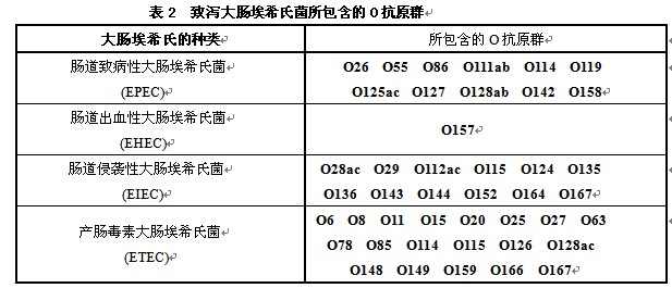 致泻大肠埃希氏菌生化鉴定